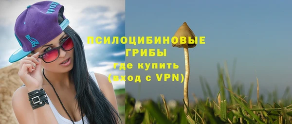 таблы Алзамай
