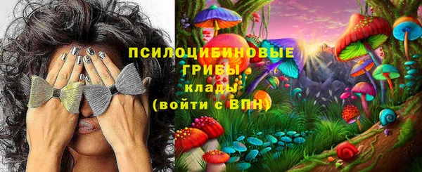 синтетический гашиш Алексеевка