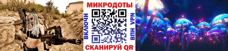 купить наркотики цена  Качканар  кракен ONION  Псилоцибиновые грибы Psilocybe 