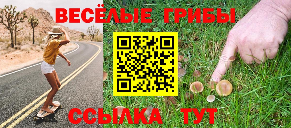 Псилоцибиновые грибы Magic Shrooms  Вход с VPN  Качканар  Псилоцибиновые грибы Cubensis 
