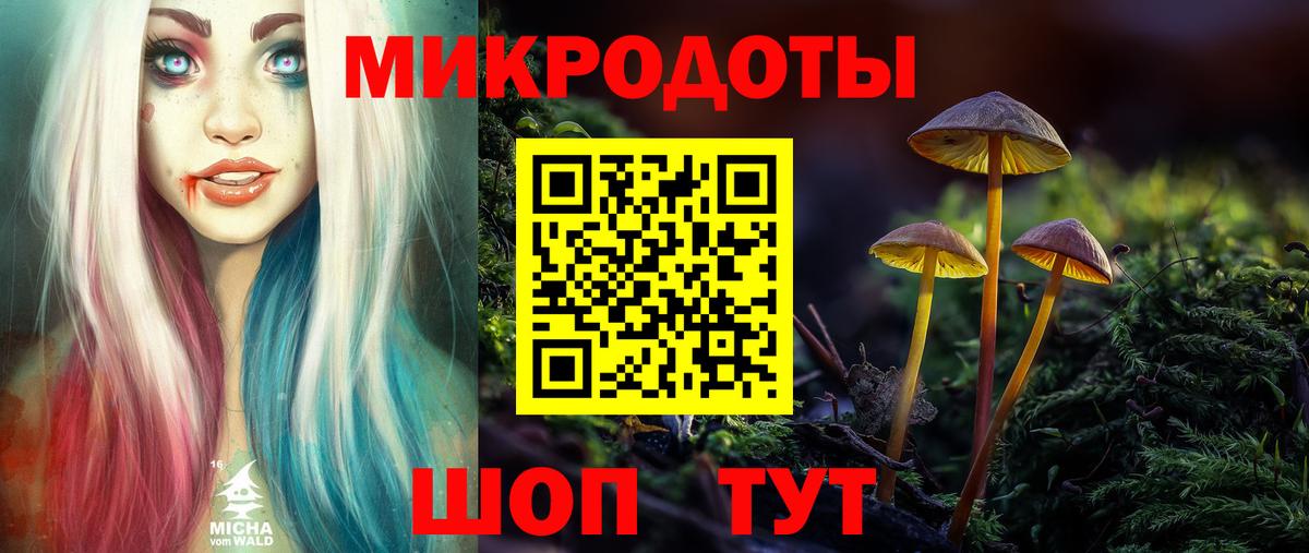 Галлюциногенные грибы мицелий Качканар